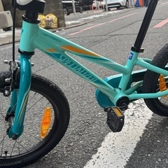 子供自転車 スペシャライズド 16インチ