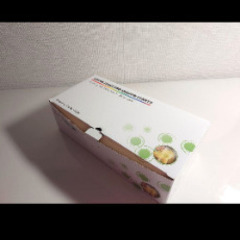 冬の室内植物への日光ライト　ハイビスカスや防犯対策にも