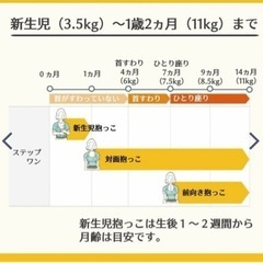 中古　ポグネー POGNAE ステップワンエアー水色の画像