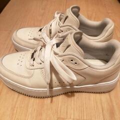 ステファノロッシの画像