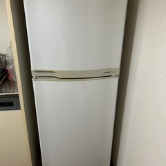 SHARP 冷蔵庫