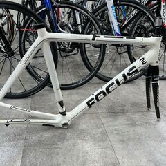 ジャンク FOCUS 「フォーカス」 CAYO LIGHT WE...