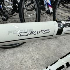 ジャンク FOCUS 「フォーカス」 CAYO LIGHT WEIGHT 2009年モデル フレームセットの画像
