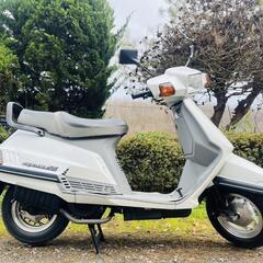🛵シグナス125‼️綺麗❗極上❗通勤通学配達‼️早い者勝ち❗の画像