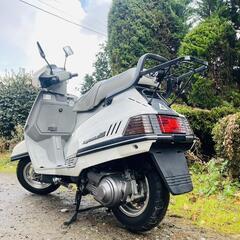 🛵シグナス125‼️綺麗❗極上❗通勤通学配達‼️早い者勝ち❗の画像