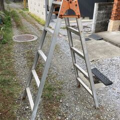 古い脚立です