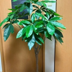 フェイクグリーン　観葉植物　パキラ