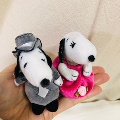 スヌーピー 5000円の結婚式の画像