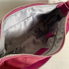 【美品】COACH  ハンドバッグ 肩掛けバッグ ショルダーバッグ F15141の画像