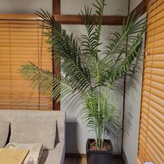 大型フェイクグリーン　観葉植物　高さ200センチ