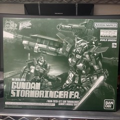 ガンプラ MG プレバン限定