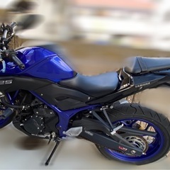 最終価格！8万値下げ❗️YAMAHA MT25