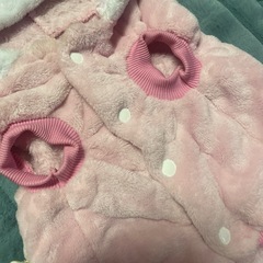 犬 冬服の画像