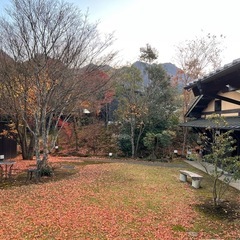 料理人さん募集‼️‼️料理好きさん歓迎‼️住み込みも相談可‼️の画像