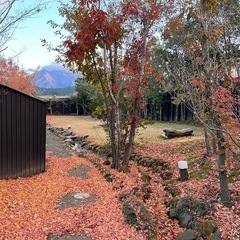 料理人さん募集‼️‼️料理好きさん歓迎‼️住み込みも相談可‼️の画像