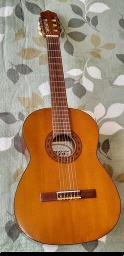 阿部ガットギター　AG-6F(ZENON-SUWA)
