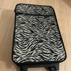 スーツケース旅行にどうぞ