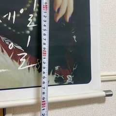 TWICE モモ　タペストリーの画像