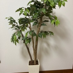 光触媒 人工観葉植物 フィカスベンジャミン　