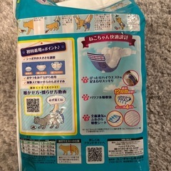 猫用マナーウェアの画像