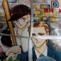 (古本)伊賀野カバ丸 全12巻セットの画像