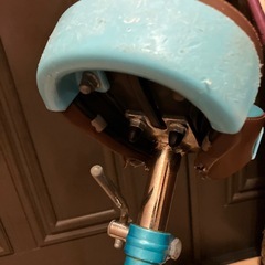 一輪車　プロティクターM付き　（交渉中
）の画像