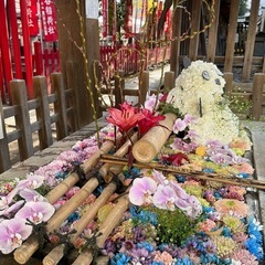 下谷神社2025年新春ヨガの画像