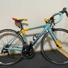 Bianchi FENICE PRO 2018 マルコパンターニ...