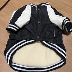 ペット洋服　試着のみ　取りに来られる方の画像