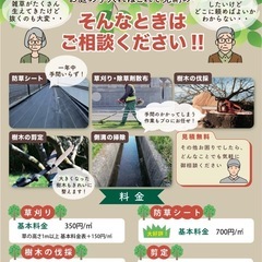 お庭、空き地等のお手入れ請け負います
