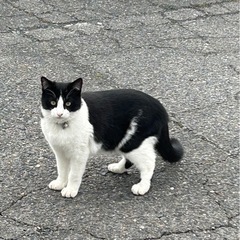 迷子になりました。