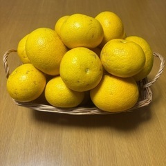 【新鮮！】八朔(はっさく)約2kgの画像