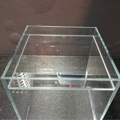 ADA DOOA ネオグラスエア 20キューブガラス水槽 専用フタ、マット付の画像