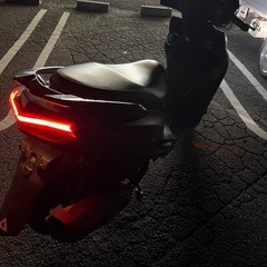 シグナス4型の画像