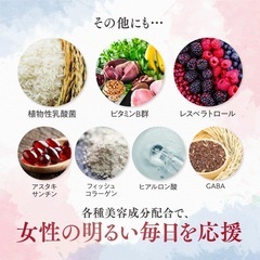 エクオルピュア イソフラボン 42mg エクオール 30日分60粒の画像