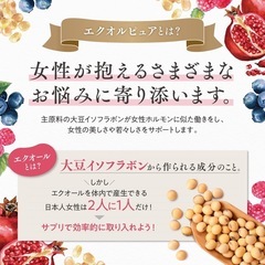 エクオルピュア イソフラボン 42mg エクオール 30日分60粒の画像