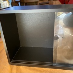 コレクションケースの画像