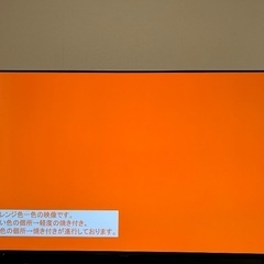 Panasonic 4K有機ELテレビ 55インチ　VIERA 美品の画像