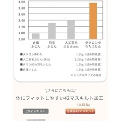 【決まりました】Aooka 高級ホテル仕様 掛け布団 ダブル　の画像