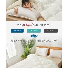 【決まりました】Aooka 高級ホテル仕様 掛け布団 ダブル　の画像