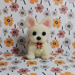   少しかわいいフレンチブルドックの赤ちゃん　羊毛