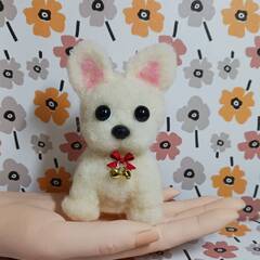   少しかわいいフレンチブルドックの赤ちゃん　羊毛の画像