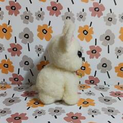   少しかわいいフレンチブルドックの赤ちゃん　羊毛の画像