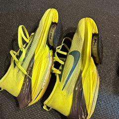 NIKE AIR ZOOM X ALPHAFLY NEXT% 26
.0cmの画像