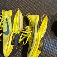 NIKE AIR ZOOM X ALPHAFLY NEXT% 26
.0cmの画像