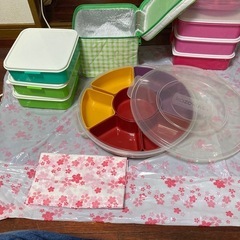 キャンセル出ました再投稿！
行楽セット🎵家族皆んなでピクニックの画像