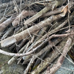 焚き木：風呂やストーブに❗️の画像