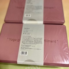 スカーラ　SUKALA LAVA ヨガブロック　2個　新品未使用の画像