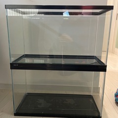 GEX水槽　黒　ガラス蓋付き