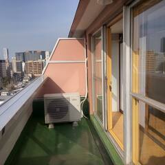 新潟駅前　マンション１１階　１部屋お貸しします。 - 不動産